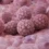 hpv