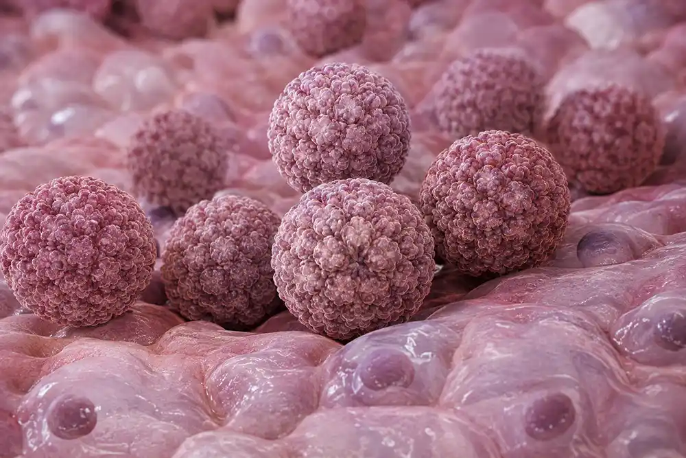 hpv